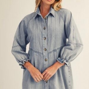 Ruffled Sleeve Denim Dress